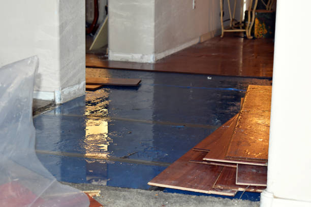 Professional Water Damage Restoration technician working in Biwabik, MN